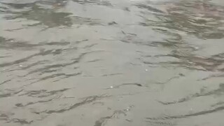 为了家努力努力再努力风雨无阻
