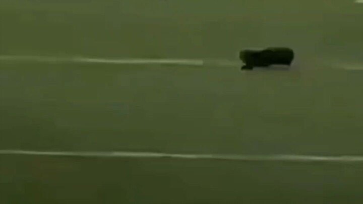 𝕜𝕦𝕔𝕚𝕟𝕘 𝕒𝕛𝕒𝕚𝕓😱😱😱