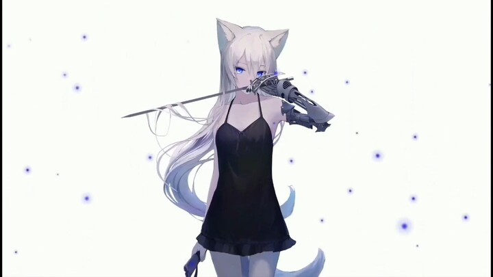 ketika waifu lu kucing
