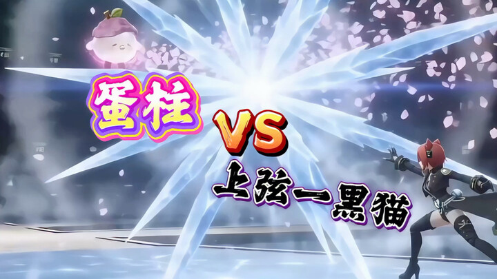 Still don’t know how to walk your cat? Danzhu will teach you how to leash and control a jet-black ca