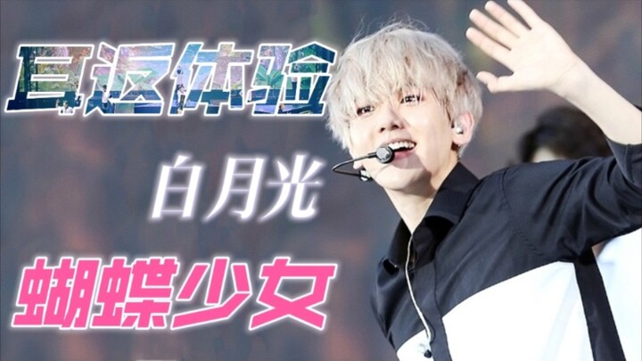 [In-Ear Monitor Review/EXO] Tearjerker Alert ⚠️ Stunning Live Performance by the Butterfly Girl