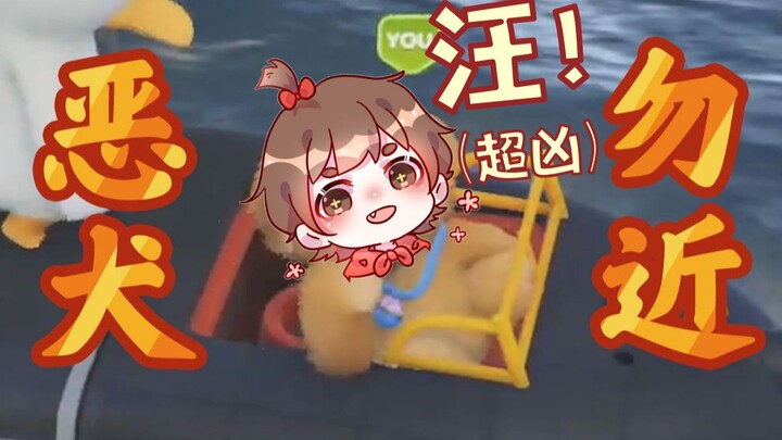 【Sanren Guichu】Anjing besar yang ganas (katak kecil yang melompat)