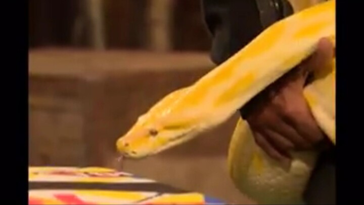 Khatron Ke Khiladi Season - 04 Episode - 05