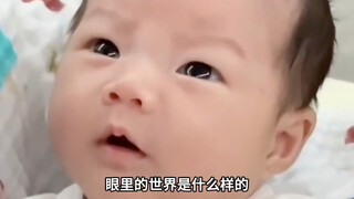 一岁以内宝宝眼里的世界是什么样的？