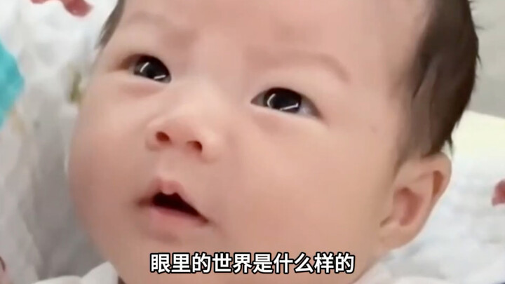 一岁以内宝宝眼里的世界是什么样的？