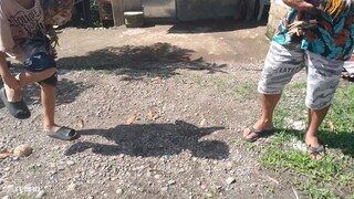spar ng hennie at talisayin..iisa ang ama magkaiba ang nanay..