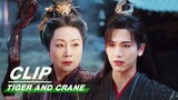 Grandma Helps Qian Regain her Body | Tiger and Crane EP14 | 虎鹤妖师录 | iQIYI
