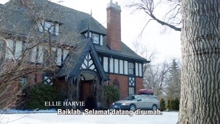 Home Alone 5 (2012)