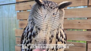 อะไรที่บดบังดวงตาของฉัน