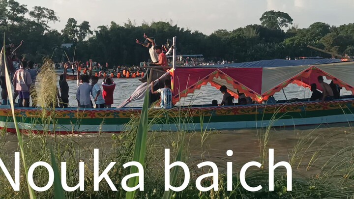 নৌকা বাইচ শোল্লা