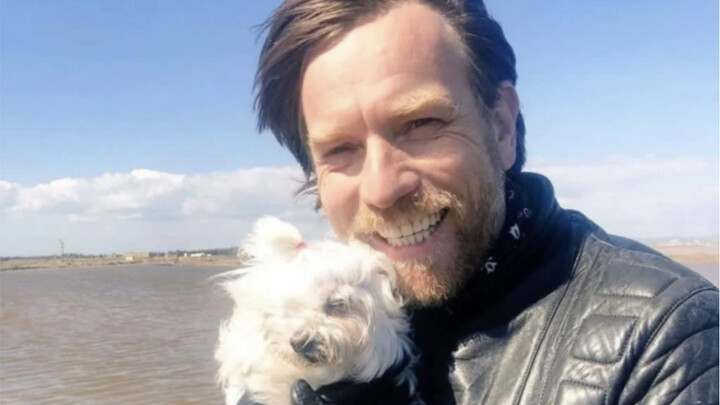 Bỗng dưng hết cười, sức hút chết tiệt!