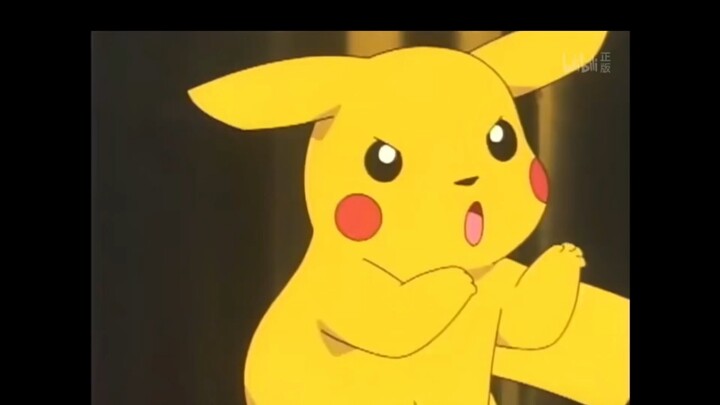 Pikachu: Ta nhất định sẽ dùng cú đấm này mê hoặc Tiểu Chi