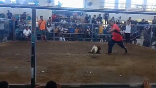 fastest kill white