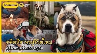 อดีตสี่ขาจรสู่ชีวิตใหม่ คู่ซี้ครอบครัวนักผจญภัย | Dog's Clip