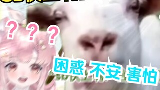 A Japanese girl studying abroad was scolded by her grumpy brother for playing games. She was almost 