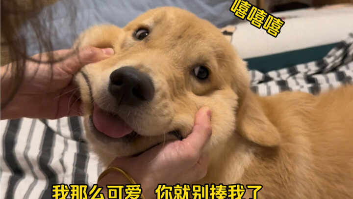 Các ee ơi～ Chú cún lắm mồm của bạn đã lên sóng rồi～