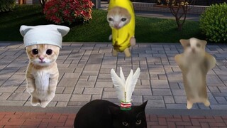 قطة الموز تلعب الريشة مع الجميع، وأرادت أن تُظهر بعض المهارات، لكنها انتهت بالبكاء مرة أخرى.