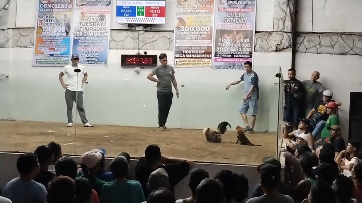 Asia 1 entry name team Hybreed talisay lose😅