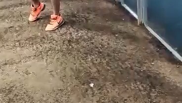 clever gray