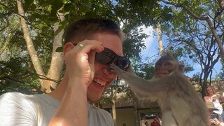 HILARIOUS Animals Being JERKS! 🫣 🤣 | 20 Minutes of Funny Pets
