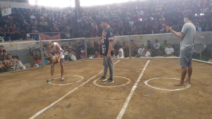 2x bulik na pandak,laging api sa laban!