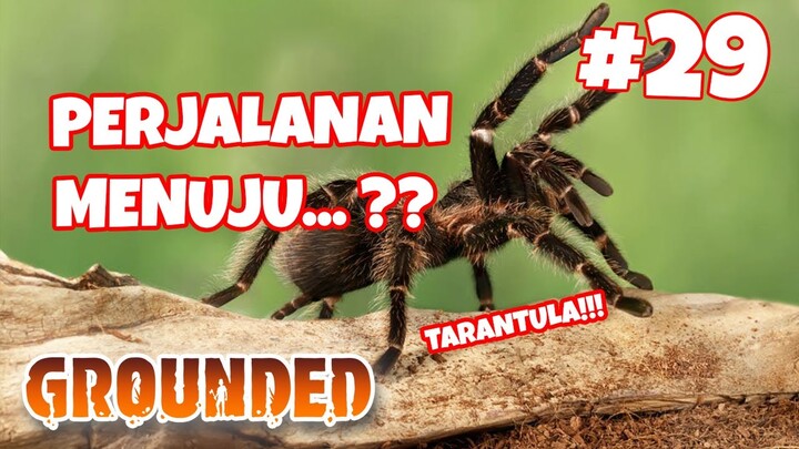 PERJALANAN MENUJU MARKAS KEMATIAN - Grounded #29