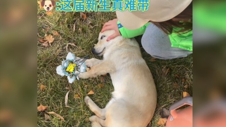 นี่คือการปฏิบัติต่อผู้อาวุโสของคุณใช่ไหม?