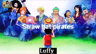 Straw Hat Pirates Time skip