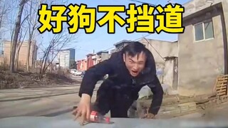 好狗不挡道，这TM跟抢劫有什么区别！