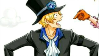Sanji kehabisan darah || arigatou Koala