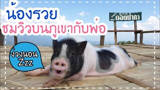 วันสบายๆ🐷น้องรวยชมวิวที่สวยงามแถวบ้าน🌄