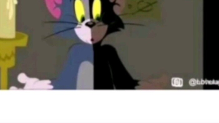Cat and Mouse Team Scores Big Points