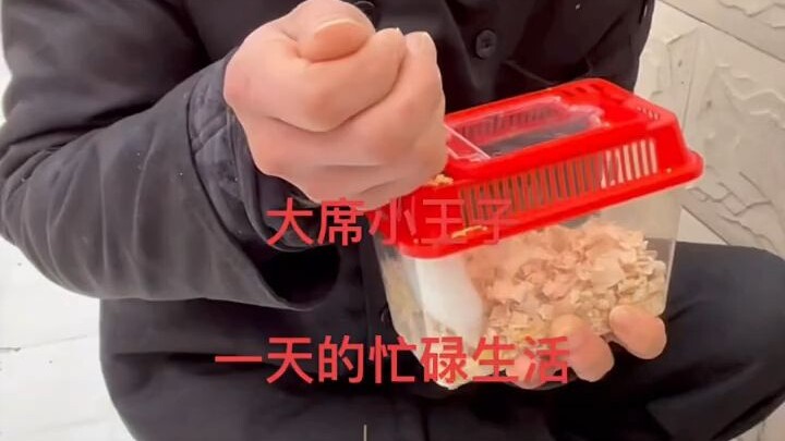 Hoàng tử nhỏ của đại tiệc Sơn Đông hôm nay chia sẻ với mọi người toàn bộ hướng dẫn làm món Tứ Hỷ Viê