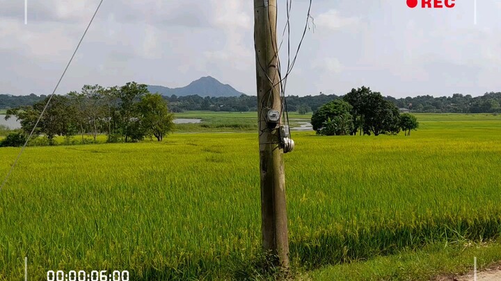 libsong lake from paitan sur cuyapo nueva ecija