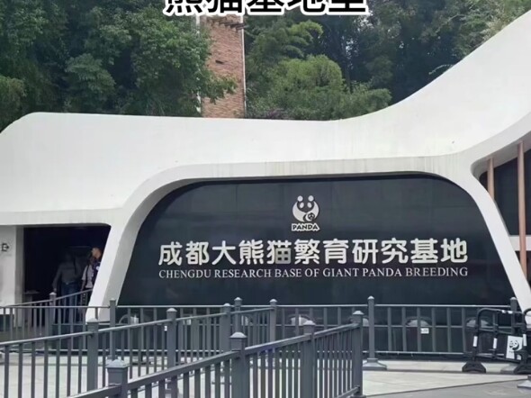 When Chinese International Students Bring Their Foreign Classmates Back to China