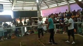loss: tagalogin Kasi nilabanan.