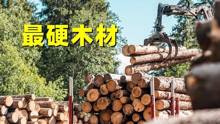 世界上最硬的木材，刀劈不烂、子弹都打不穿，我国为何大量收购？