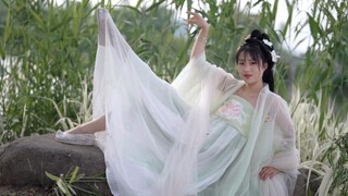 Mawar bermekaran, dan lagu penuh warna mengalun.