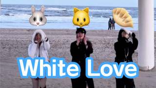 White Love Challenge: It’s not that you can’t afford to go to Jeju Island, but Aranya is more cost-e