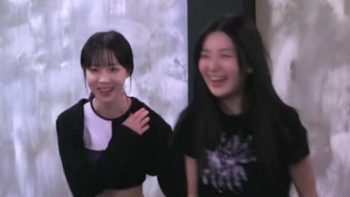 หมาขี้อายกับหมีที่ตื่นตระหนก