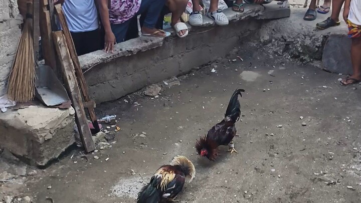 Pula vs Talisayin
