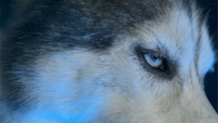 Why can’t I stand you? Because my eyes are full of sand.