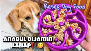 RESEP MAKANAN ANJING HEMAT & ENAK!! Cocok untuk anjing yang susah makan!