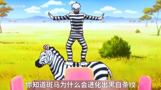 斑马身上的条纹用途原来是这样