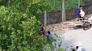 พ่อมหาเศรษฐีปลอมตัวเป็นคนขายไข่ไปงานแต่งลูกชาย