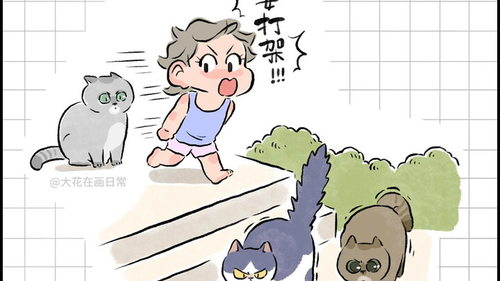 Cuộc sống thường ngày nháo nhào của mèo và chó, xin hãy kéo dài thêm chút nữa!