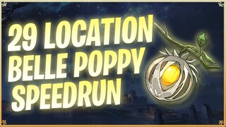 29 Location Lanternberry - Wuthering Waves [TOPUP DI FEBRY.STORE]