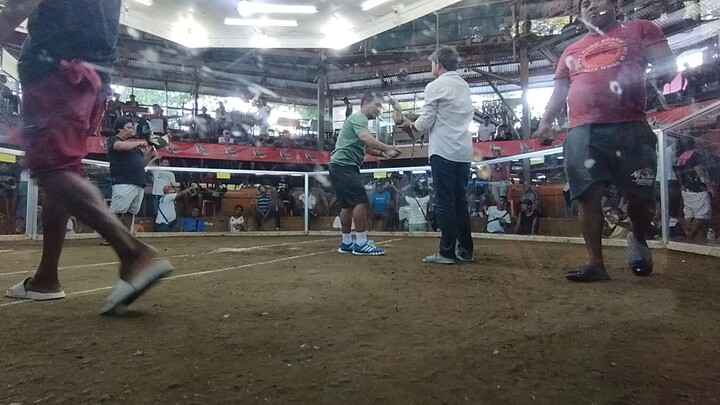 3rd Fight WIN/5Cock's Derby