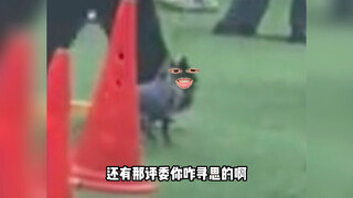 这比赛到底咱俩谁参加