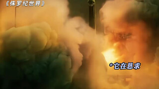 腕龙真的是所有侏罗纪粉丝的意难平吧"侏罗纪世界 "电影解说